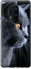 Чехол на OnePlus 8 Pro Красивый кот "3038u-1896-7105"