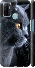 Чехол на Oppo A53 Красивый кот "3038c-568-7105"