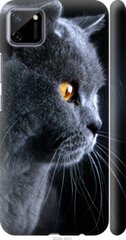Чехол на Realme C11 2020 Красивый кот "3038c-2031-7105"