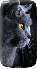 Чехол на Samsung Galaxy Y Duos S6102 Красивый кот "3038u-251-7105"