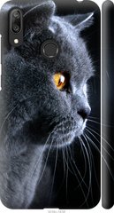 Чехол на Huawei Y7 2019 Красивый кот "3038c-1638-7105"