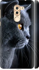 Чехол на Huawei Honor 6X Красивый кот "3038c-460-7105"