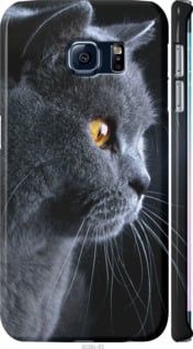Чехол на Samsung Galaxy S6 Edge G925F Красивый кот "3038c-83-7105"