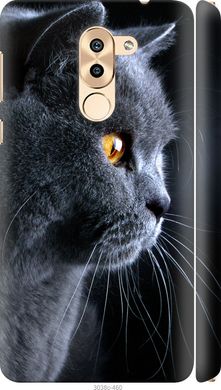 Чехол на Huawei Honor 6X Красивый кот "3038c-460-7105"
