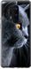 Чехол на OnePlus 8 Pro Красивый кот "3038u-1896-7105"