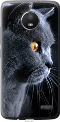 Чехол на Motorola Moto E4 Красивый кот "3038u-981-7105"