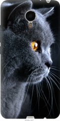 Чехол на Meizu Metal Красивый кот "3038u-507-7105"