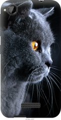 Чехол на HTC Desire 320 Красивый кот "3038u-497-7105"