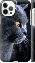 Чехол на Apple iPhone 12 Красивый кот "3038c-2053-7105"