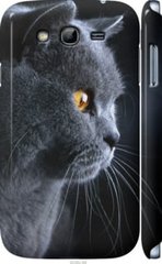 Чехол на Samsung Galaxy Grand I9082 Красивый кот "3038c-66-7105"