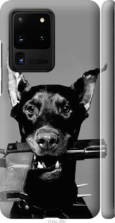 Чехол на Samsung Galaxy S20 Ultra Доберман "2745c-1831-7105"