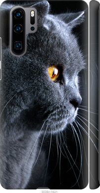 Чехол на Huawei P30 Pro Красивый кот "3038c-1621-7105"