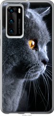 Чехол на Huawei P40 Красивый кот "3038u-1840-7105"