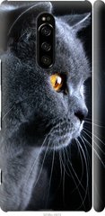 Чехол на Sony Xperia XZ4 Красивый кот "3038c-1623-7105"
