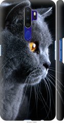 Чехол на Oppo A9 2020 Красивый кот "3038c-1865-7105"