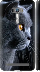 Чехол на Asus ZenFone Selfie ZD551KL Красивый кот "3038c-116-7105"