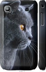 Чехол на Samsung Galaxy S i9000 Красивый кот "3038c-77-7105"