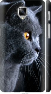 Чехол на OnePlus 3T Красивый кот "3038c-1617-7105"