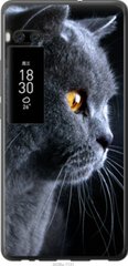 Чехол на Meizu Pro 7 Plus Красивый кот "3038u-1131-7105"