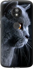 Чехол на Motorola Moto E5 Play Красивый кот "3038u-1429-7105"