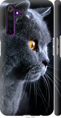 Чехол на Realme 6 Pro Красивый кот "3038c-1893-7105"