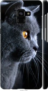 Чехол на Samsung Galaxy A8 Plus 2018 A730F Красивый кот "3038c-1345-7105"