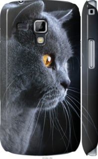 Чехол на Samsung Galaxy S Duos s7562 Красивый кот "3038c-84-7105"