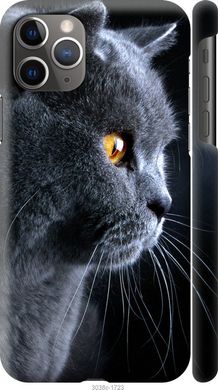 Чехол на Apple iPhone 11 Pro Max Красивый кот "3038c-1723-7105"
