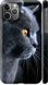 Чехол на Apple iPhone 11 Pro Max Красивый кот "3038c-1723-7105"