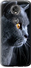 Чехол на Motorola Moto E5 Plus Красивый кот "3038u-1412-7105"