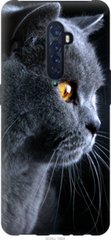 Чехол на Oppo Reno 2 Красивый кот "3038u-1864-7105"