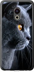 Чехол на Pro 6 Красивый кот "3038u-293-7105"
