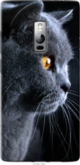 Чехол на OnePlus 2 Красивый кот "3038u-386-7105"