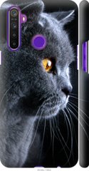 Чехол на Realme 6i Красивый кот "3038c-2059-7105"