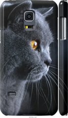 Чехол на Samsung Galaxy S5 mini G800H Красивый кот "3038c-44-7105"