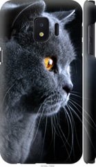 Чехол на Samsung Galaxy J2 Core Красивый кот "3038c-1565-7105"