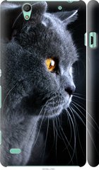 Чехол на Sony Xperia C4 E5333 Красивый кот "3038c-295-7105"