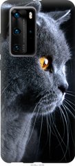 Чехол на Huawei P40 Pro Красивый кот "3038u-1839-7105"