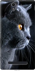 Чехол на Sony Xperia C3 D2502 Красивый кот "3038u-171-7105"