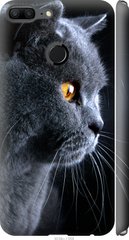 Чехол на Huawei Honor 9 Lite Красивый кот "3038c-1359-7105"