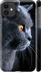 Чехол на Apple iPhone 11 Красивый кот "3038c-1722-7105"