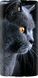 Чехол на OnePlus 1 Красивый кот "3038u-379-7105"