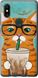 Чехол на Xiaomi Mi Mix 2s Зеленоглазый кот в очках "4054u-1438-7105"