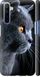 Чехол на Realme 6 Красивый кот "3038c-1913-7105"