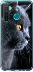 Чехол на Realme 5 Pro Красивый кот "3038u-1861-7105"