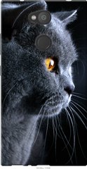 Чехол на Sony Xperia L2 H4311 Красивый кот "3038u-1394-7105"