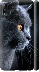 Чехол на Asus Zenfone Max Pro M2 ZB631KL Красивый кот "3038c-1641-7105"