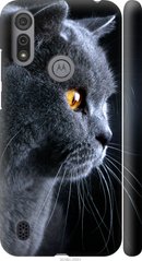 Чехол на Motorola E6i Красивый кот "3038c-2355-7105"