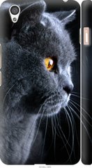 Чехол на OnePlus X Красивый кот "3038c-385-7105"