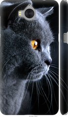 Чехол на Huawei Y5 2017 Красивый кот "3038c-992-7105"